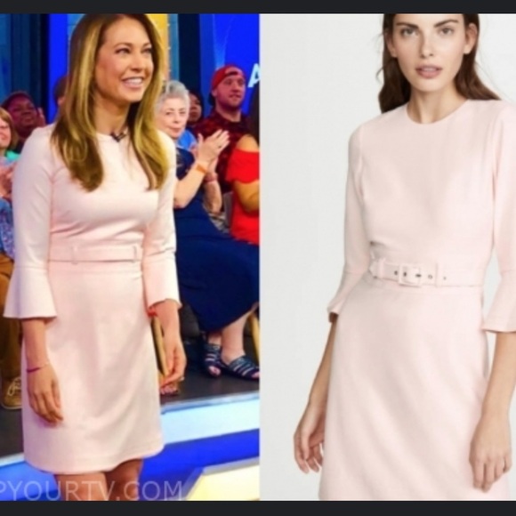 SHOSHANNA ODILA PETAL PINK CREPE FLARE SLEEVE BELTED DRESS SIZE 6 - Picture 2 of 16